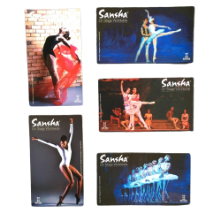 ballerina magneten set Sansha
