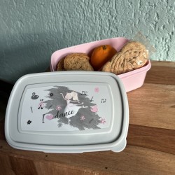 ballerina lunchbox brooddoos voor meisjes broodtrommel ballet geschenk ballerina cadeau