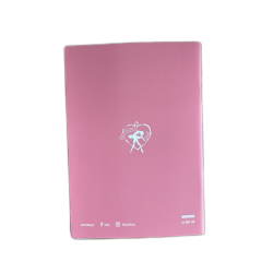 cahier ballerine A5 pointes sepia Like G