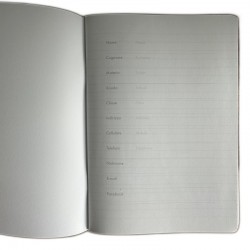 Ballett-Notizbuch A5 liniert Spitzenschuhe