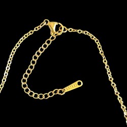 gold colored necklace modern dancer/ gymnast